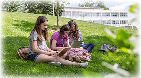 Students sitting in the grass